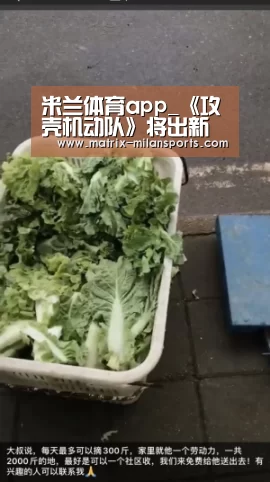 米兰体育app_《攻壳机动队》将出新作动画 神山健治重出江湖(图4) 米兰app下载