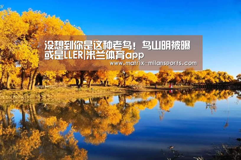 没想到你是这种老鸟!鸟山明被曝或是LLER|米兰体育app(图2) 米兰体育app下载